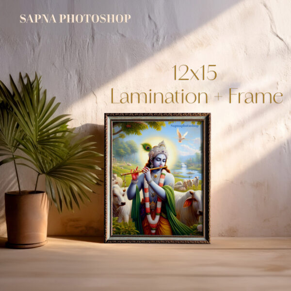 Saawariya Photo Frame